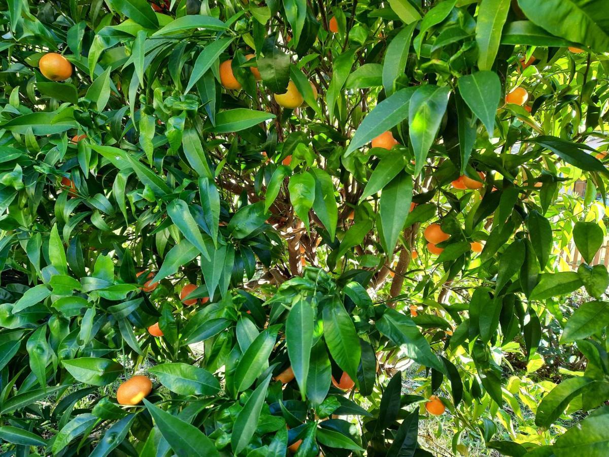 B&B Vignola Levanto Bagian luar foto