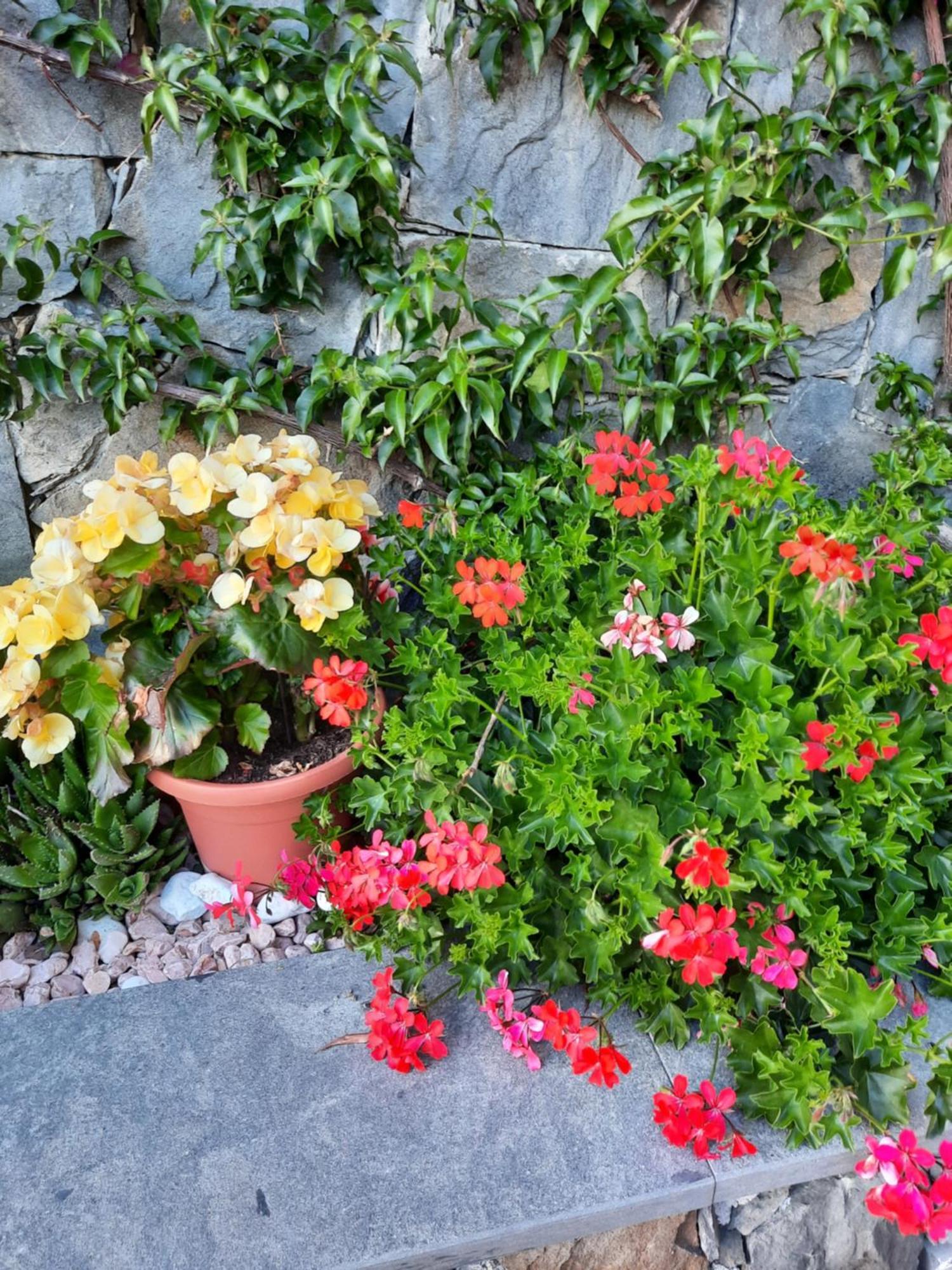 B&B Vignola Levanto Bagian luar foto