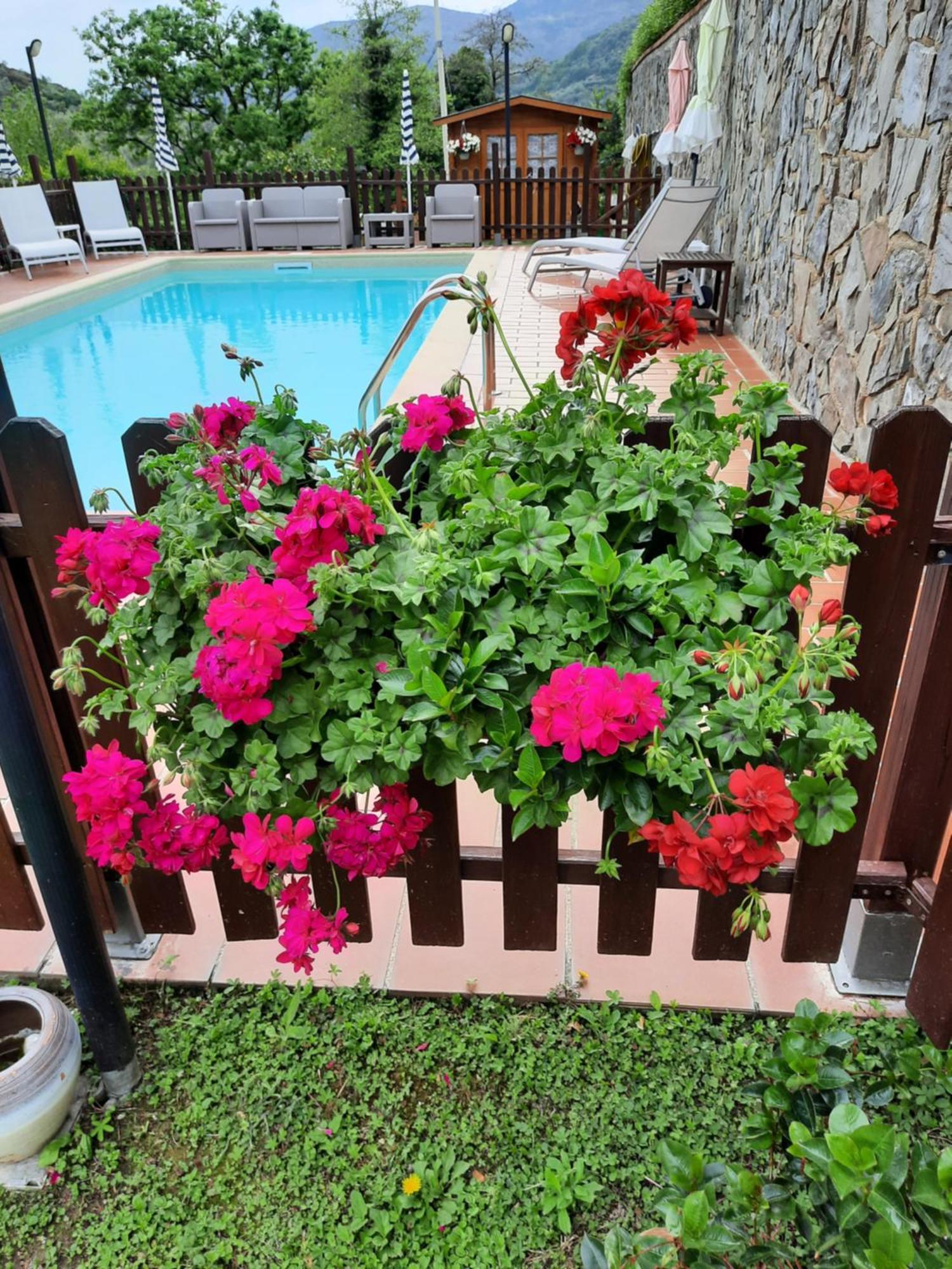 B&B Vignola Levanto Bagian luar foto