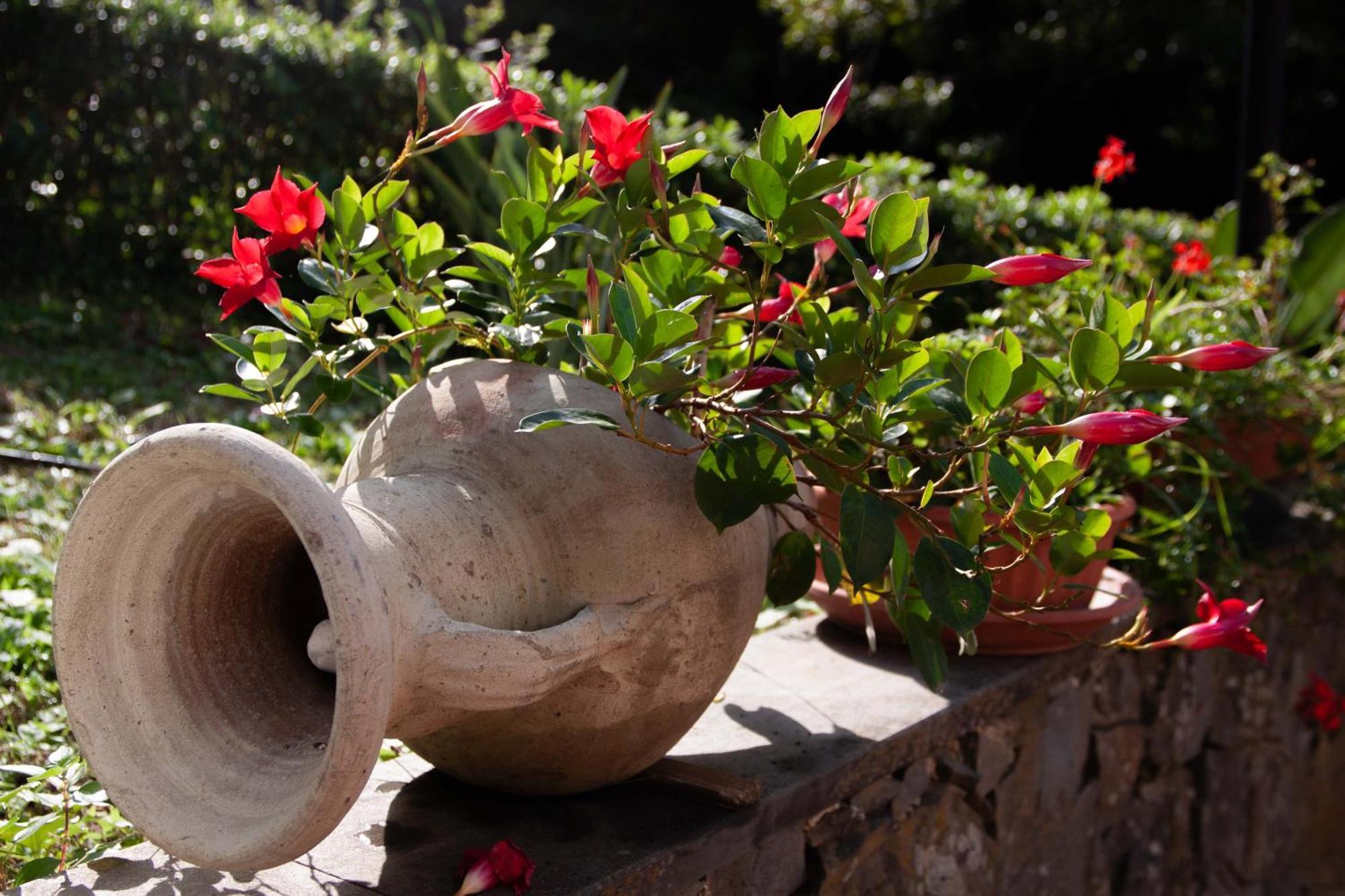 B&B Vignola Levanto Bagian luar foto