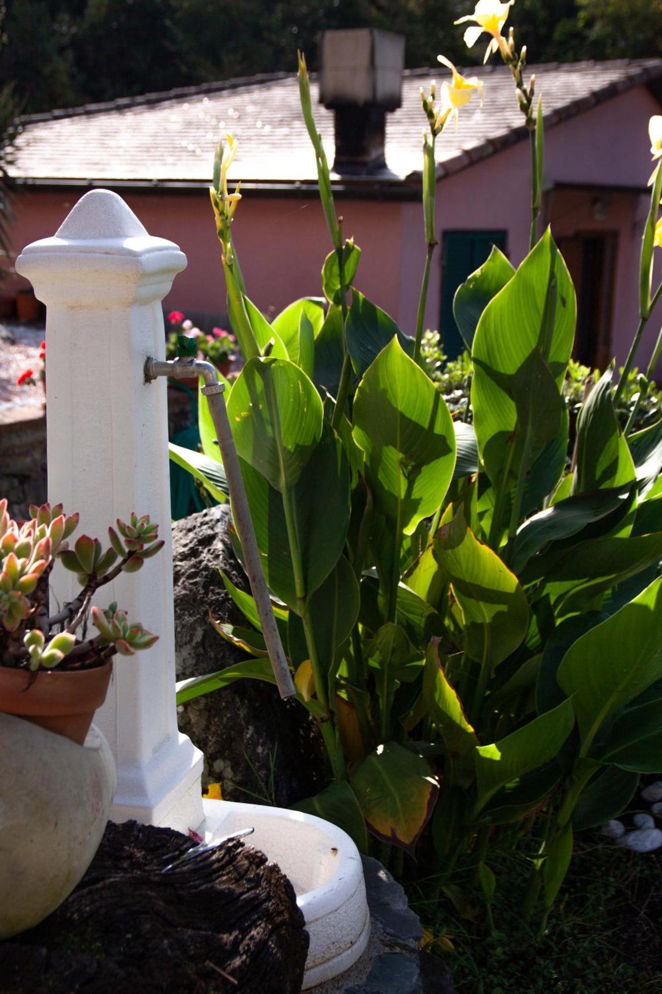 B&B Vignola Levanto Bagian luar foto